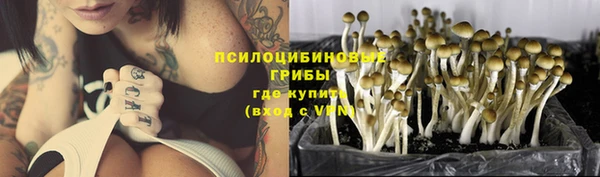 прущая мука Балахна