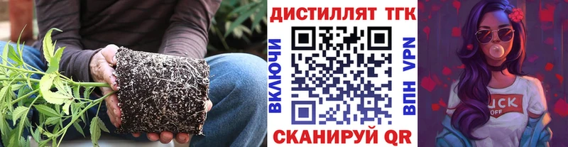 Дистиллят ТГК гашишное масло  купить наркотик  Сураж 